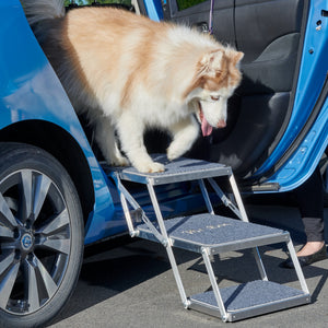 2 Stepper on car side door with dog - Road Dog